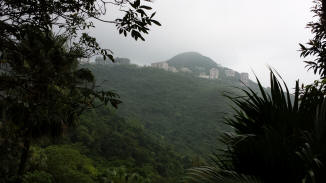 Misty hillside view on Victoria Peak